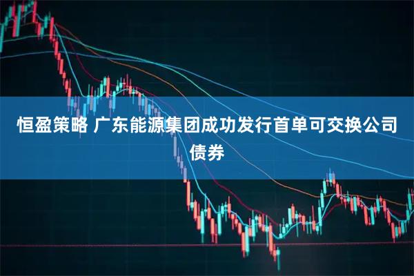 恒盈策略 广东能源集团成功发行首单可交换公司债券